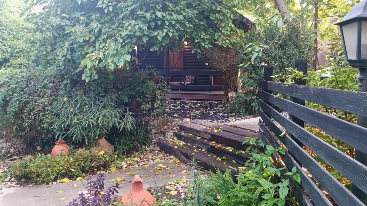 Cabin Resort Ramot Exterior photo